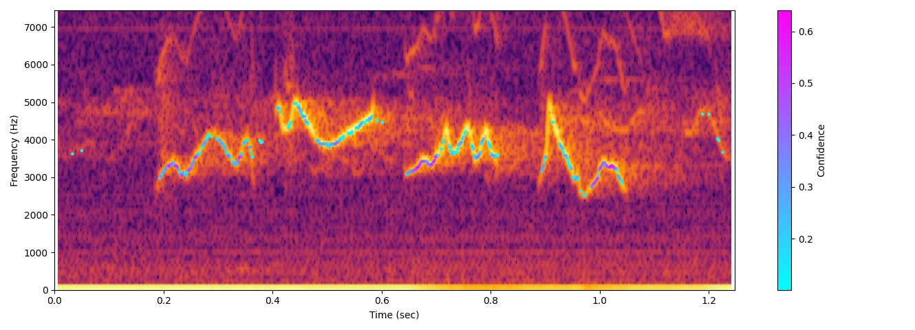 Réunion grey white-eye spectrogram